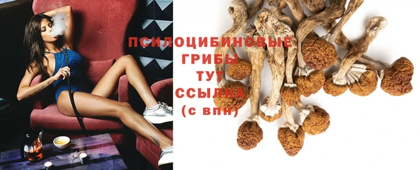 шишки Кулебаки