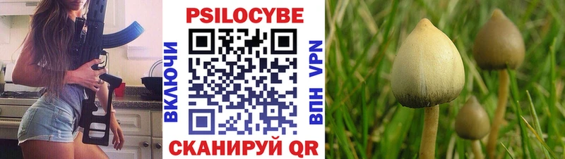 Псилоцибиновые грибы Psilocybe дарк нет формула Жердевка